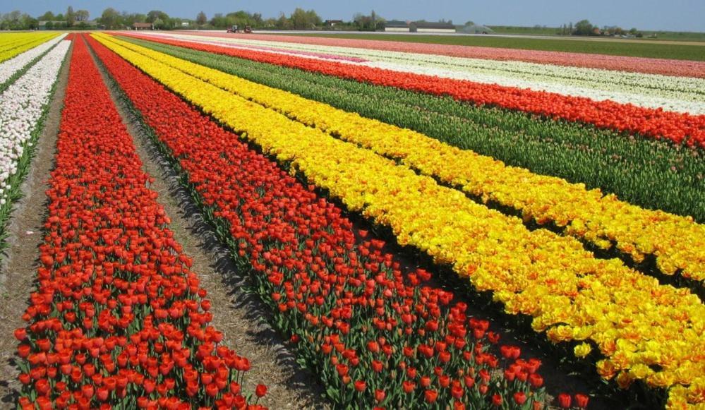 Zoet En Zilt Villa Sint Maartensvlotbrug ภายนอก รูปภาพ